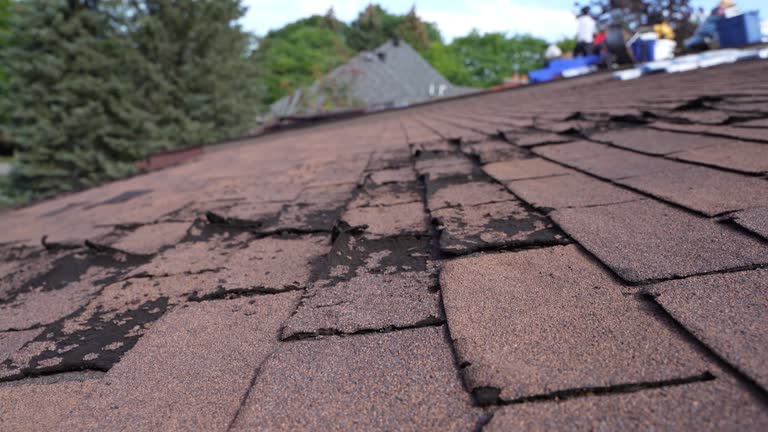 Best Roof Coating and Sealing  in Dewart, PA
