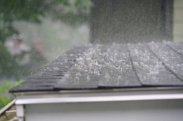 Best Roof Moss and Algae Removal  in Dewart, PA